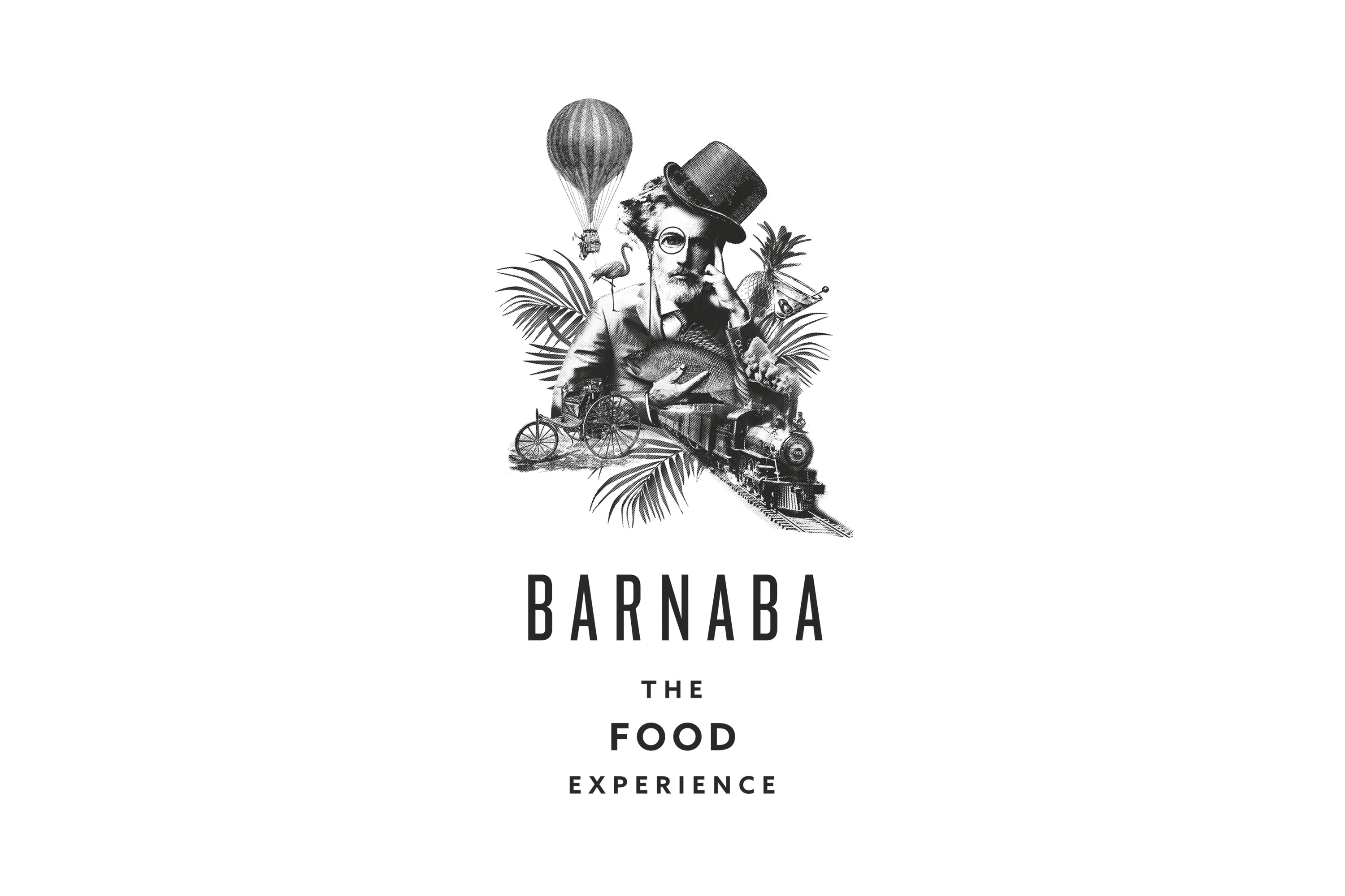 Barnaba logo