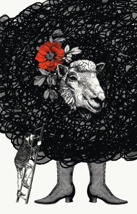 Le Mouton de Beau Marais - logo ontwerp - branding - webdesign
