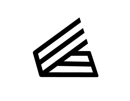 E-volve - logo ontwerp - branding - webdesign